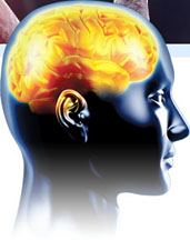 Become Second To None By Boosting Your Brain Function.