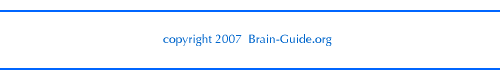 footer for brain page